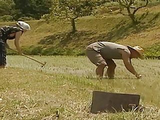 Fucking in Japan Village: Nippon Porn Sites